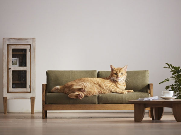 ペットと暮らす家具 インテリアショップの犬派と猫派 ペット用品ご紹介 おすすめの 犬マンガ 猫マンガ