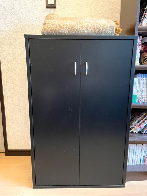 見せる収納 と 隠す収納 の違い を分かりやすく 本当は 見せたらステキな収納方法 隠したらステキな収納方法